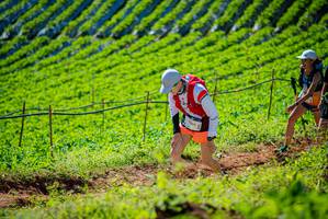 BIB: 
                            <button type="button" onclick="openModal(19161723)" class="btn btn-primary btn-sm float-right btn-popup" data-toggle="modal" data-target=".modal-high-quality">
                        <i class="fas fa-shopping-cart"></i> Add to Cart
                    </button>
                                            <button type="button" onclick="isThisMe(19161723, true)" class="btn btn-success btn-sm float-right btn-popup btn-isme hidden" data-toggle="tooltip" data-placement="bottom" title="นี่คือรูปของคุณใช่ไหม คลิกที่นี่เพื่อเอาเข้าอัลบั้ม">
                        <i class="fas fa-plus"></i> Add to album
                    </button>
                    <button type="button" onclick="isThisMe(19161723, false)" class="btn btn-warning btn-sm float-right btn-popup btn-isnotme hidden">
                        <i class="fas fa-ban"></i> Remove from album
                    </button>